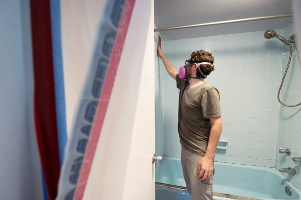 Best Attic Mold Removal  in Woodland Hills, UT