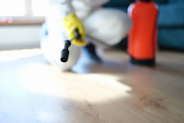 Best Biohazard Mold Removal  in Woodland Hills, UT