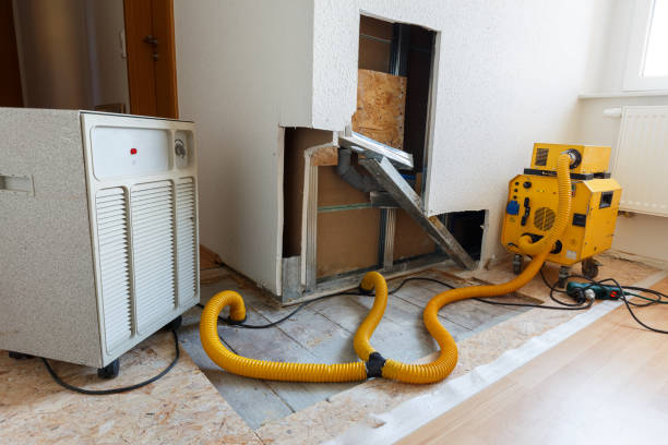 Mold Remediation for Rental Properties in Woodland Hills, UT